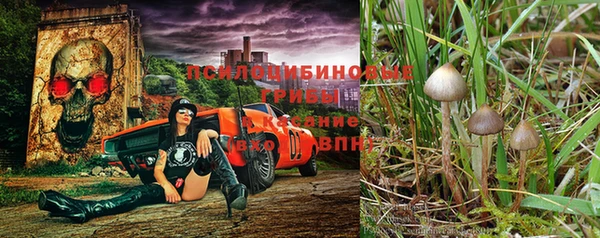 СК Алзамай