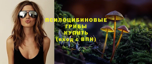 СК Алзамай