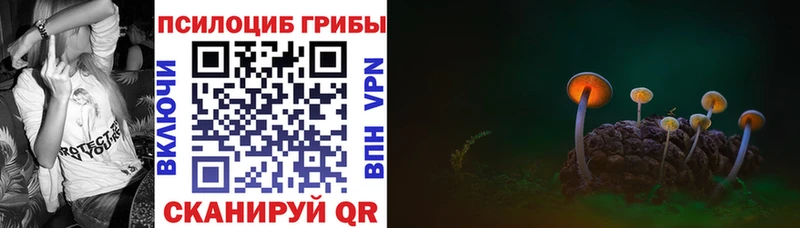 Купить где Изобильный Псилоцибиновые грибы мухоморы